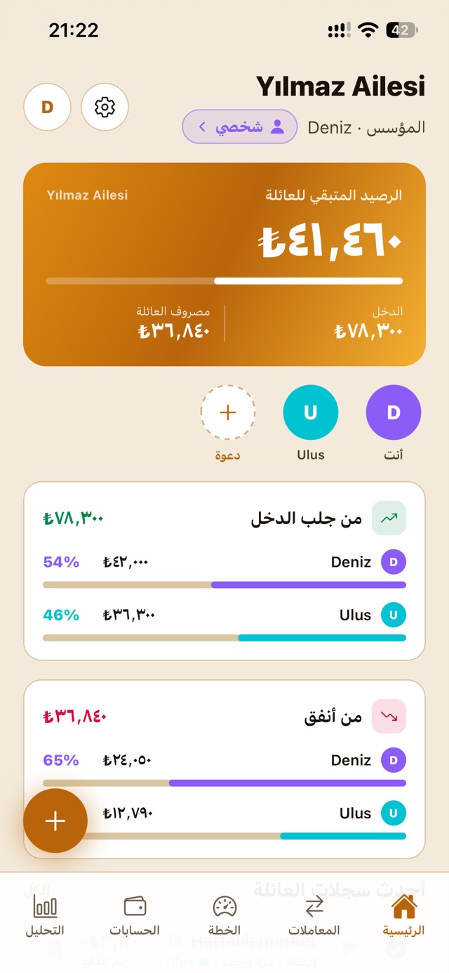 وضع العائلة في ADES Budget: رصيد العائلة ومن جلب الدخل ومن أنفق