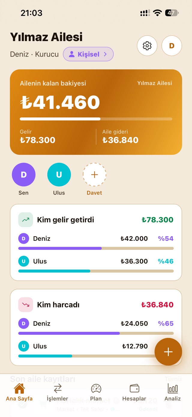 ADES Budget Aile modu: ailenin kalan bakiyesi, kim gelir getirdi ve kim harcadı