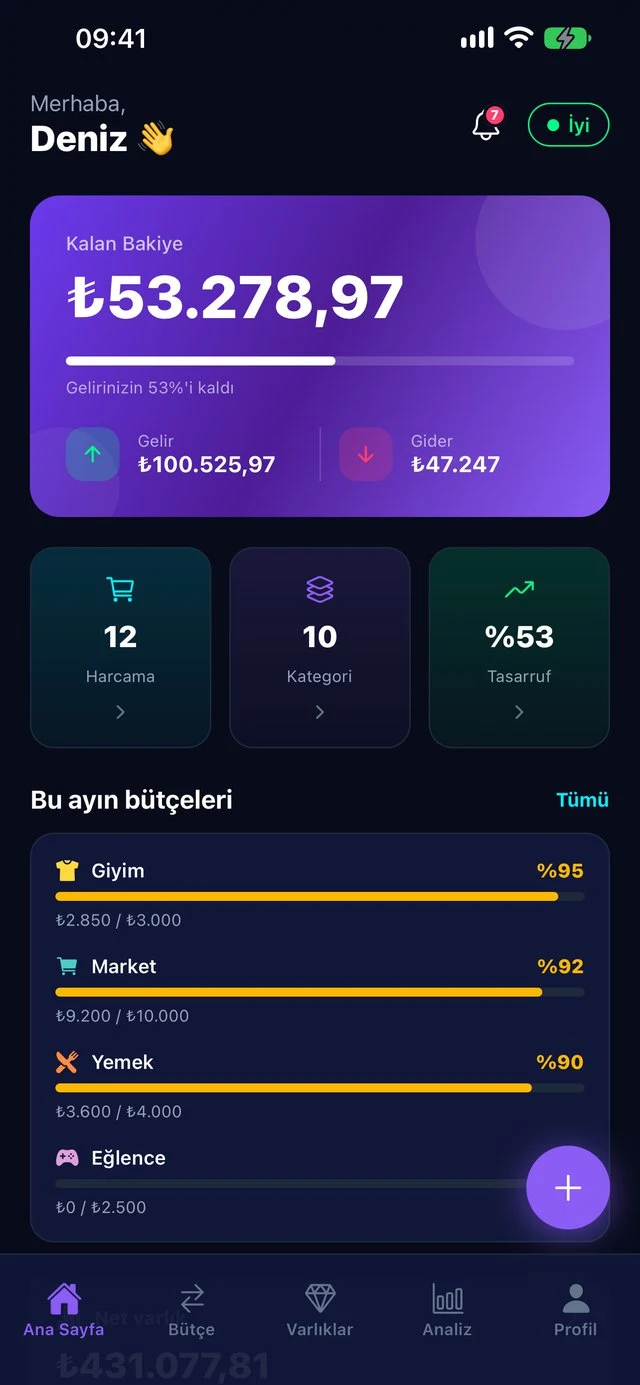 ADES Budget gelir gider ana ekranı
